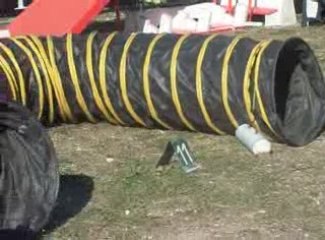 CONCOURS CANIN HAHA!