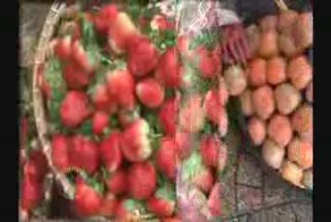 MUA DA LAT_chunk_5