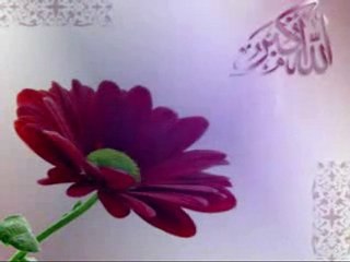 .•*ღ♥••khaled salou aala nabi.•*ღ♥••