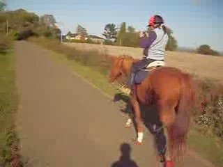 pilou fin trot entraine