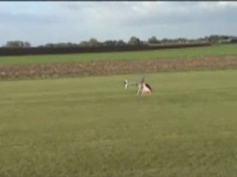 Trex 450 premier vol copterX