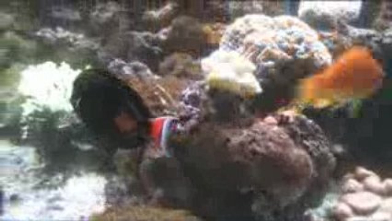 Aquarium René