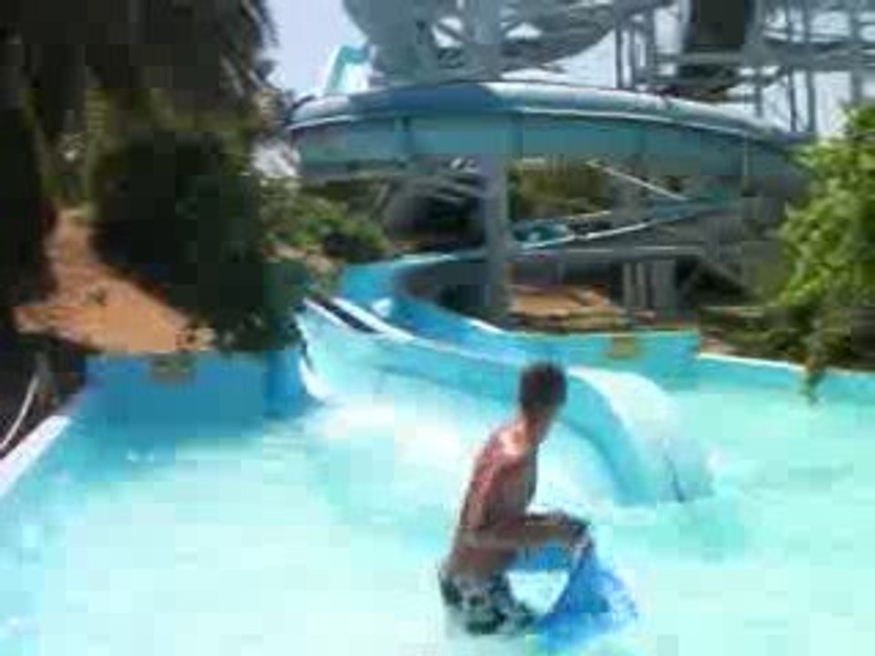 Anaconda