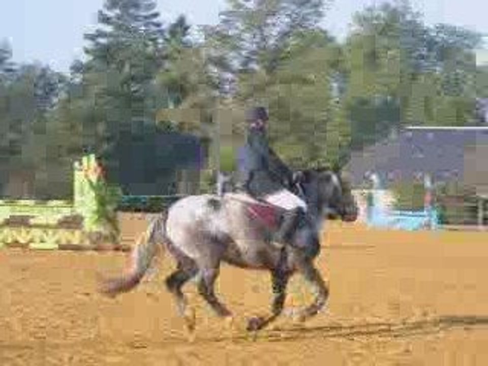 Luciole club poney 2 sans faute deuxième