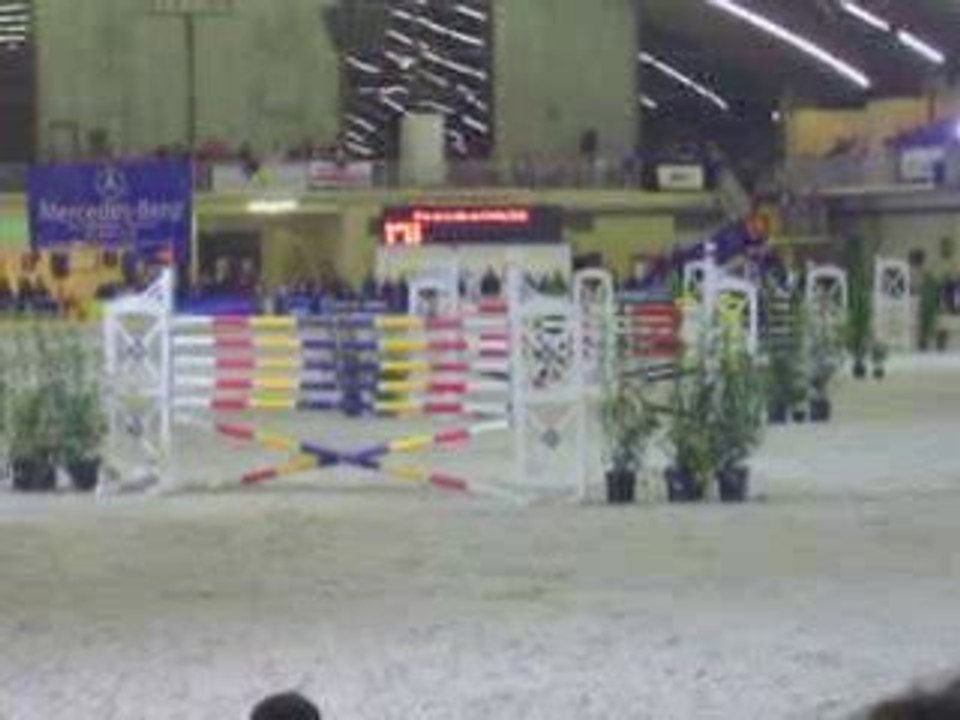 Salon du cheval 2009 -- Chalon en Champagne