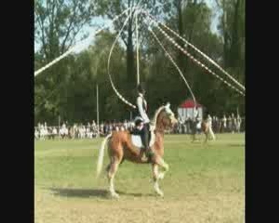 Fête du cheval Mackenheim 2009 (partie 2)