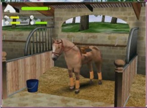 Mes chevaux de mission équitation online
