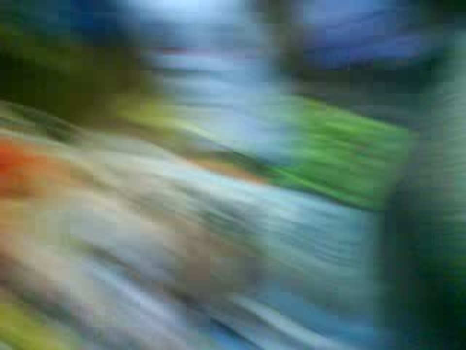 MOV00827
