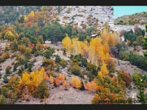 Giresun Alucra Arduç Köyü