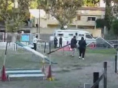 Aster - GPF Ollioules