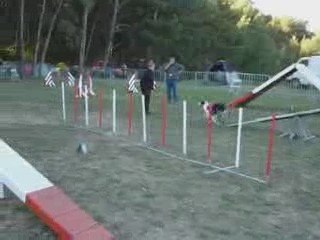 Sunny - Open Ollioules