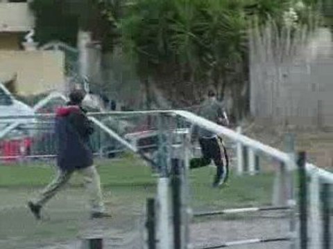 Brownie - GPF Ollioules