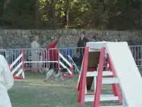 Brownie - Open Ollioules