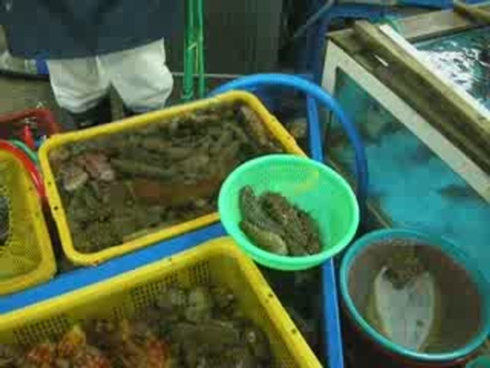 Concombre de mer