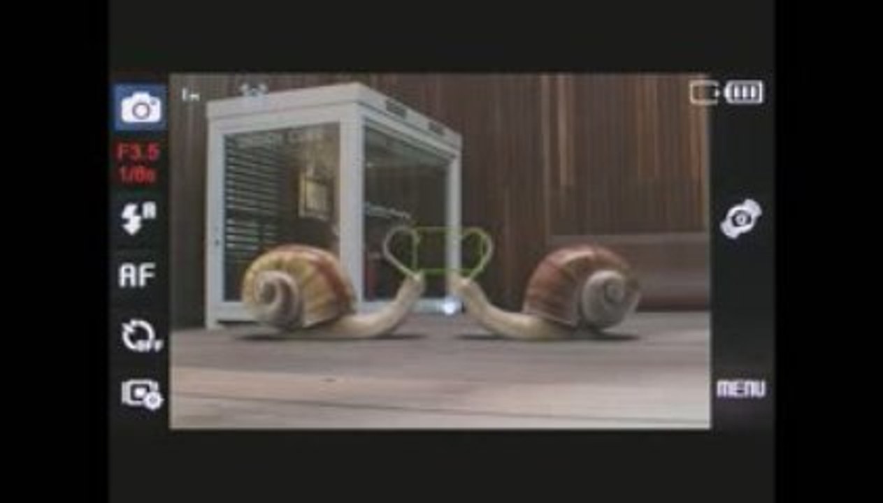 Funny Snails Taking Self Portraits