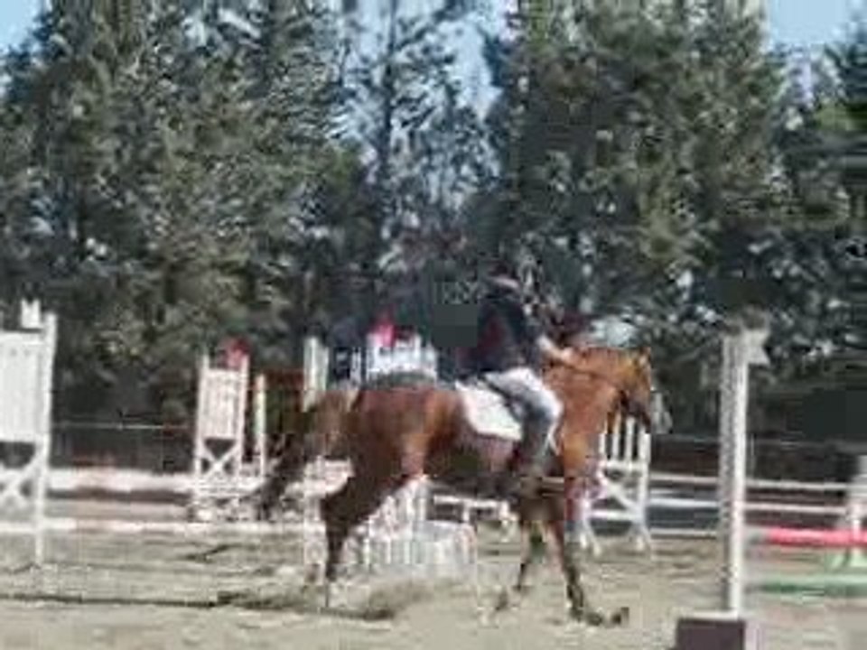 Selka, 1er concours, 18/10/2009, saussan