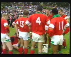 España - Gales 21/05/1994 6 de 12