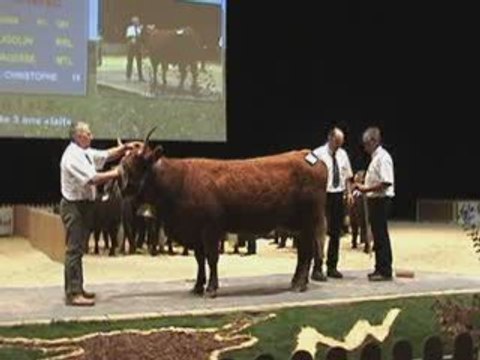 Concours salers sommet de l'elevage Cournon2009