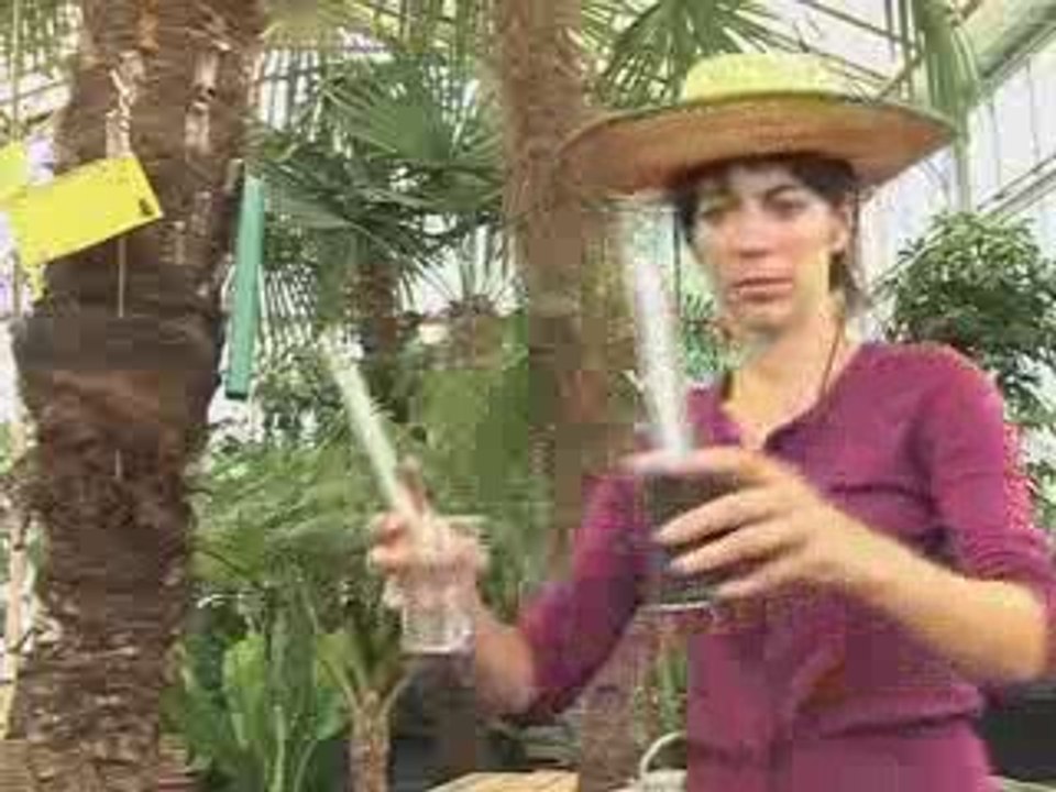 La Boîte à Bidouilles - La terre chauffe