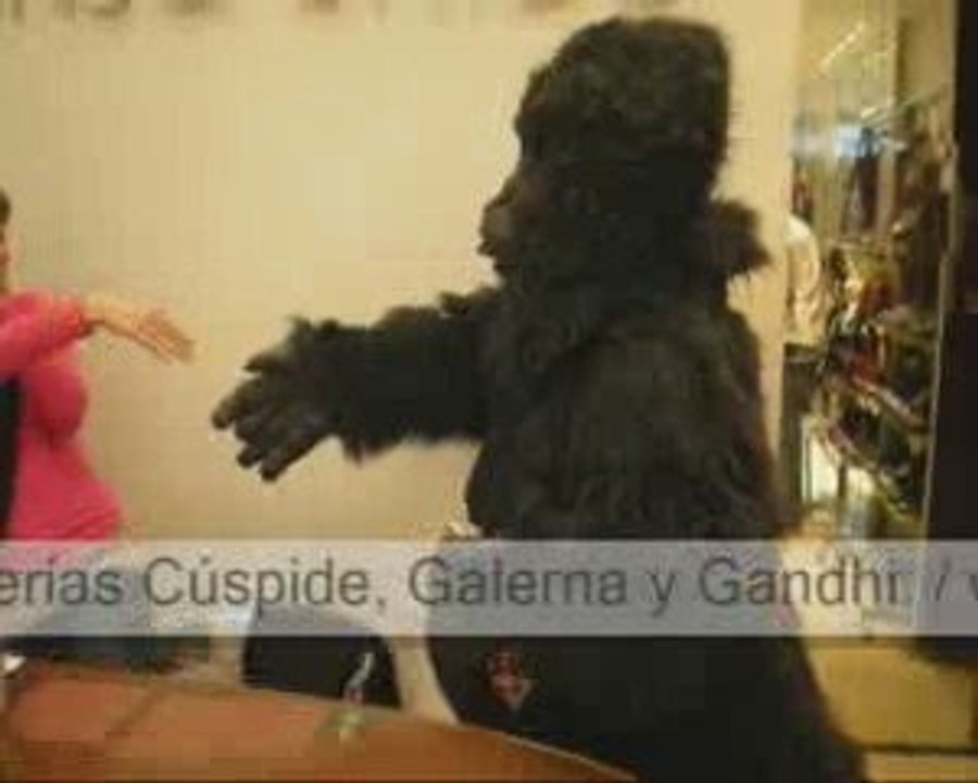 Barbú, el gorila escritor traducido por Stephen King.