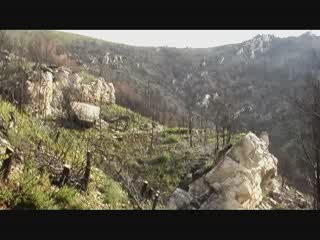 incendie parc des bruyeres