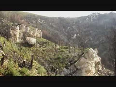 incendie parc des bruyeres