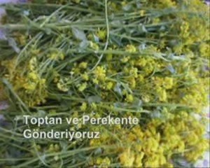 Gönen Şifalı Bitkiler Merkezi Keşif Pazarlama 053660620730