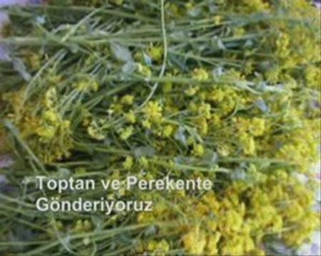 Gönen Şifalı Bitkiler Merkezi Keşif Pazarlama 053660620730