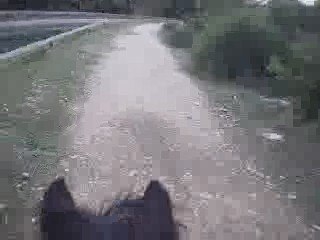 Un ptit galop aussi ca fait du bien ! 25 10 09