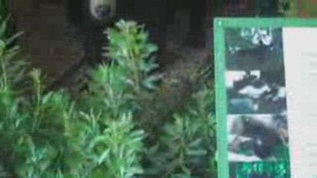 NC State Fair Raleigh NC