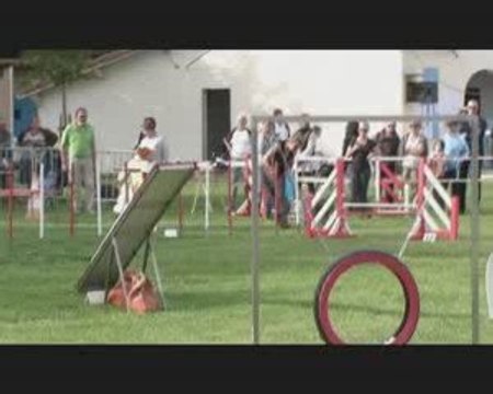 Buck Agility L'Isle Sur Sorgue