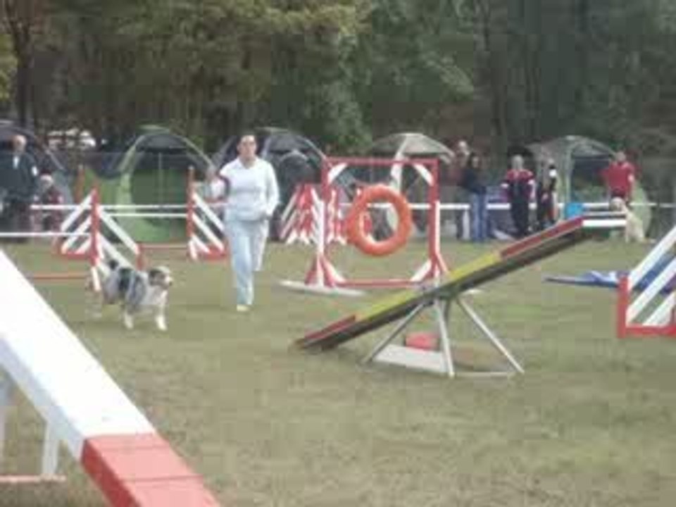 1er degré agility joigny