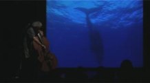 Baleine et contrebasse