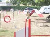 indian red colours chups 1er concours d'agility