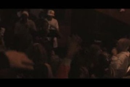 PANEL LARGE (SIMBA DOC BRROWN CRISF GOLDMC) - FREESTYLE