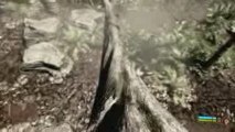 Crysis : Amazonia graphics HD Beauty Directx10 SLI GTX285