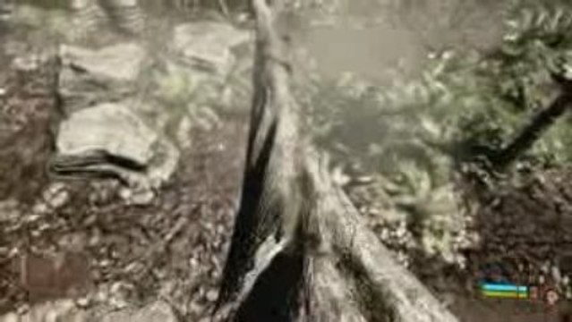 Crysis : Amazonia graphics HD Beauty Directx10 SLI GTX285