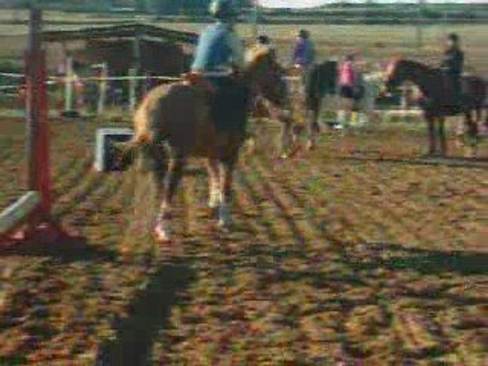 Anthony et Pin up (refus)