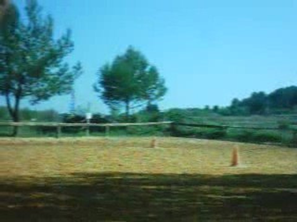 Epervier en chasse ! ! !
