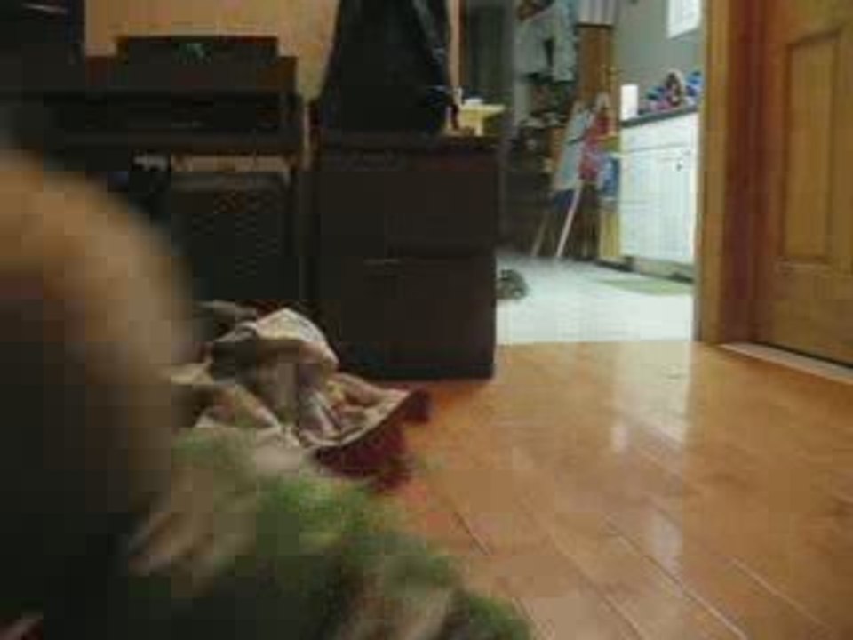 Calvin does his Don Rickles impressions