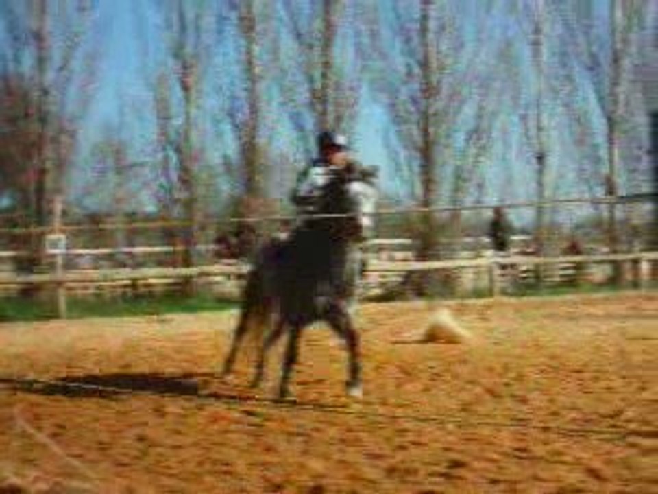 Quirim et Horizon font la course !
