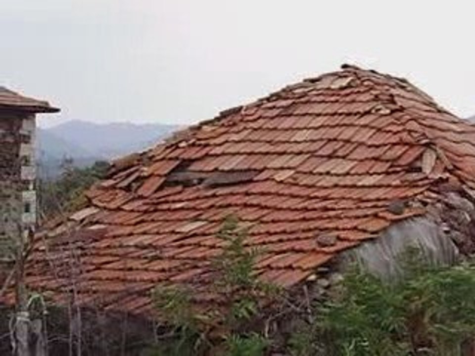 arabacı