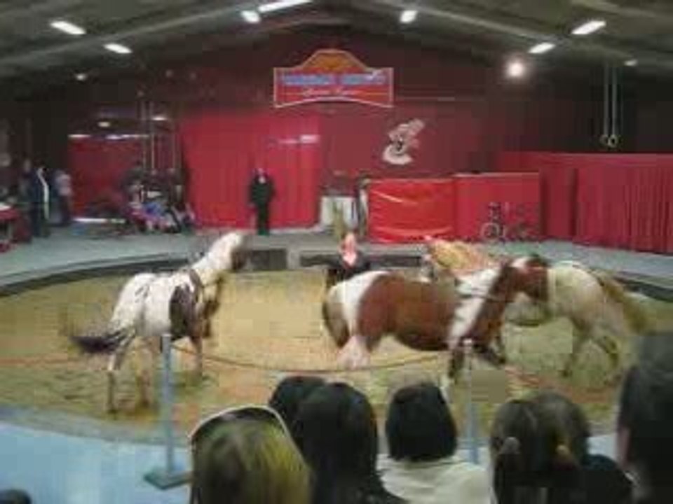 Vargas Show
