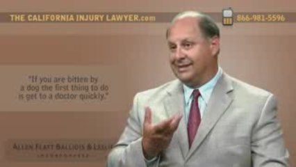 What To Do After A Dog Bite Injury According To ...