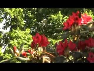 Wymiana AEG Böblingen