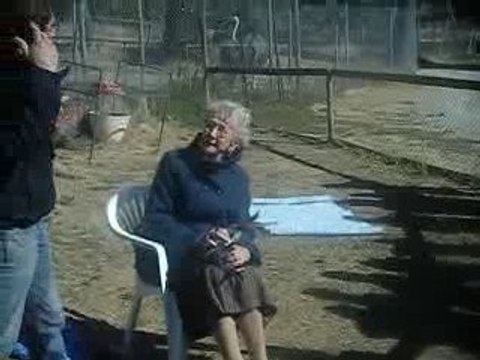 mamy donne le biberon au bébé kangourou