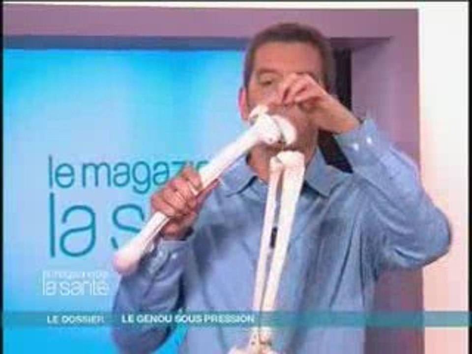Articulation du genou