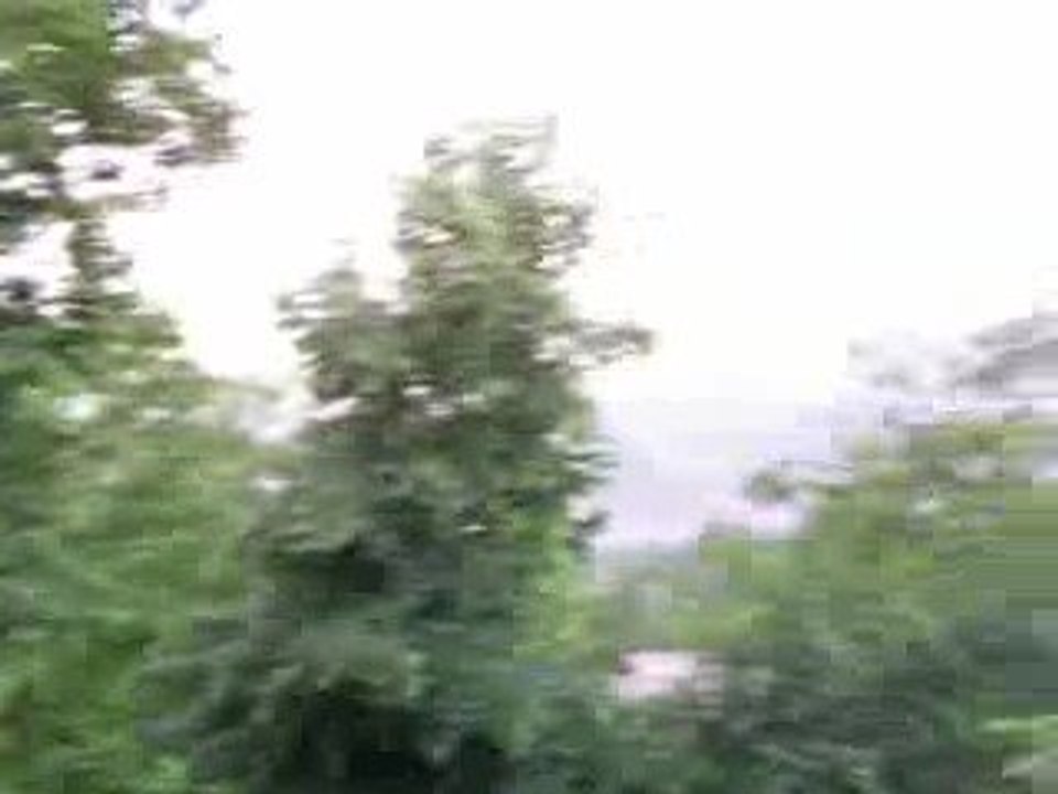 gokkusagi