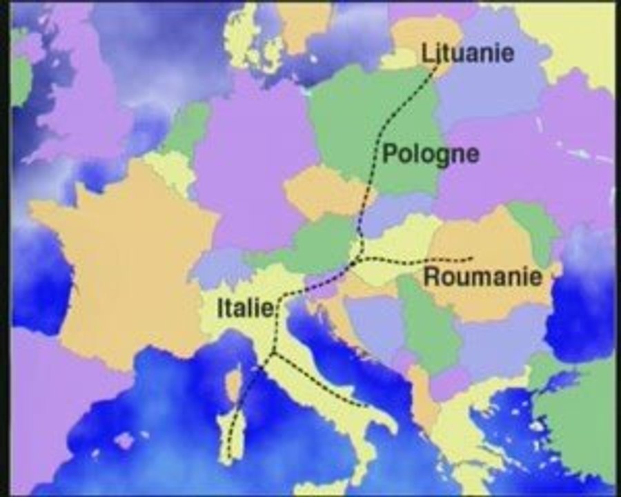 Transports d'animaux vivants