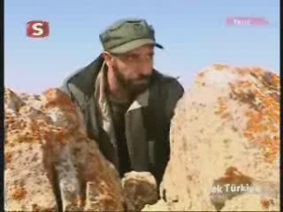 tek türkiye'nin siyabendi şivan kaymakam tarığı kurtarırken